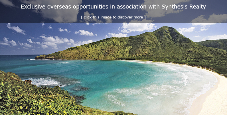Association with Synthesis Realty Group